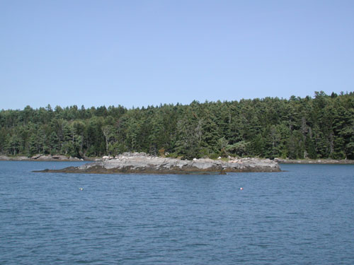 Islands in Seal Cove from Prout Escale catamaran
